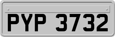 PYP3732