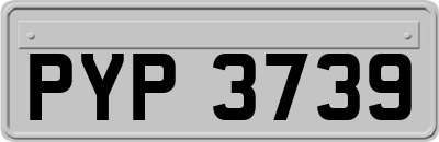 PYP3739