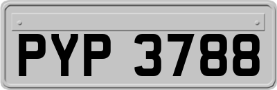 PYP3788