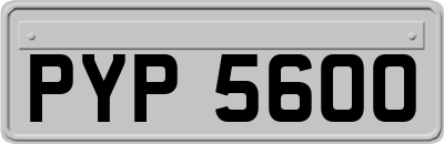 PYP5600