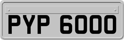 PYP6000