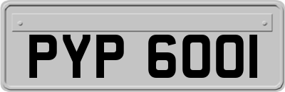 PYP6001