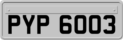 PYP6003