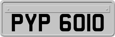 PYP6010