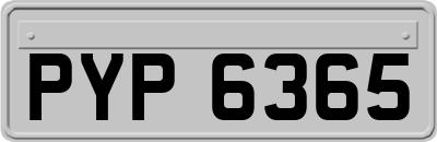 PYP6365