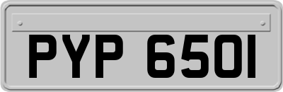 PYP6501