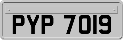 PYP7019