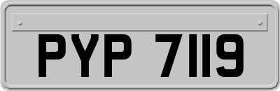 PYP7119