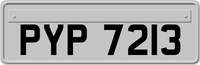 PYP7213