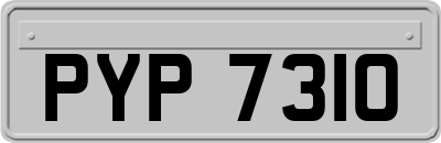 PYP7310