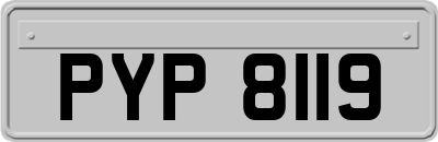 PYP8119