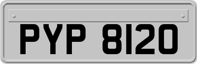 PYP8120