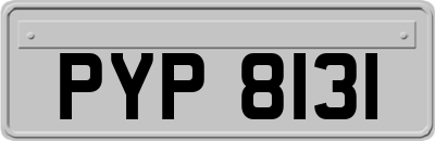 PYP8131