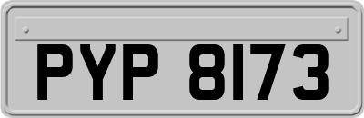 PYP8173