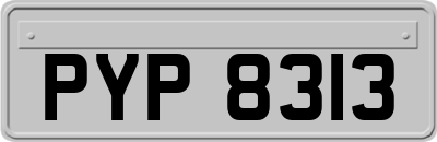 PYP8313