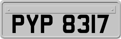 PYP8317