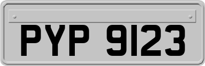 PYP9123