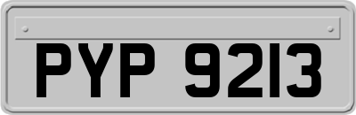 PYP9213