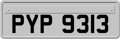 PYP9313