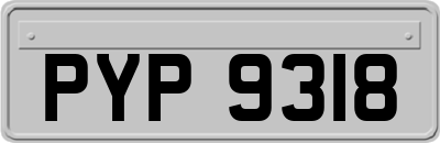 PYP9318