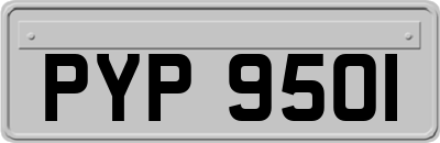 PYP9501