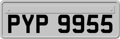 PYP9955