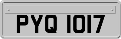 PYQ1017