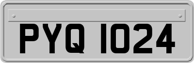 PYQ1024