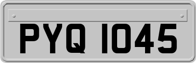 PYQ1045