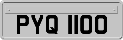 PYQ1100