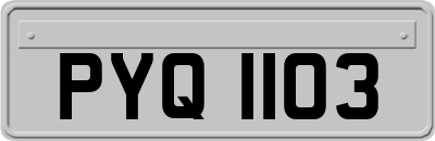 PYQ1103