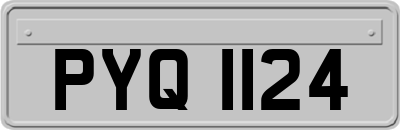 PYQ1124