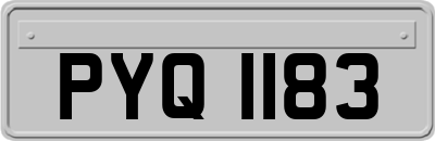 PYQ1183