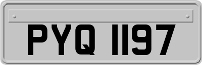 PYQ1197