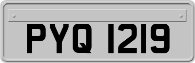 PYQ1219