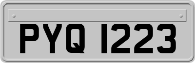 PYQ1223