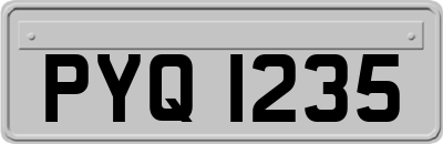 PYQ1235