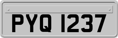 PYQ1237