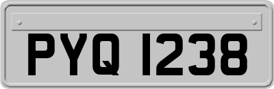 PYQ1238