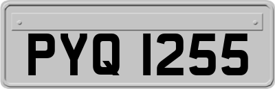 PYQ1255