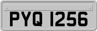 PYQ1256