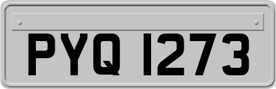 PYQ1273