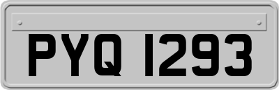 PYQ1293