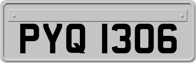 PYQ1306