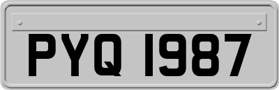 PYQ1987