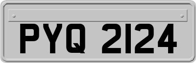 PYQ2124