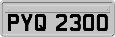 PYQ2300