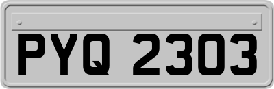 PYQ2303