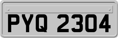 PYQ2304