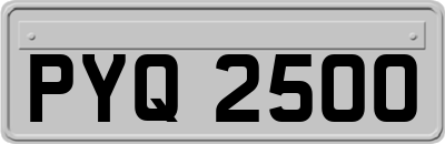 PYQ2500